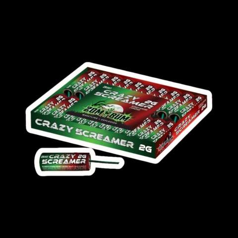Crazy Screamer 2G ZB307